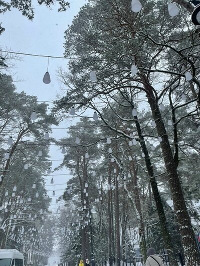 «Калининград по атмосфере понравился меньше Зеленоградска»: туристка рассказала о зимнем отдыхе с двумя детьми - Новости Калининграда | Фото: личный архив героини публикации