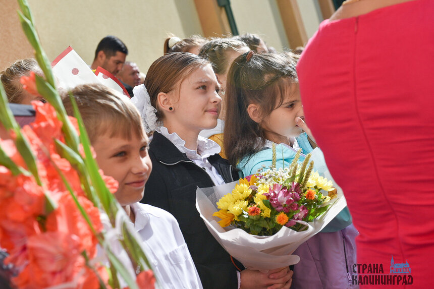 Когда в Холмогоровке появится школа, пока не ясно, ее проект обсуждают | Фото: Александр Мелехов