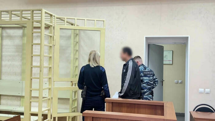 После покушения на жизнь Юлии Владимир оказался за решёткой  | Фото: скриншот видеозаписи Калининградского областного суда