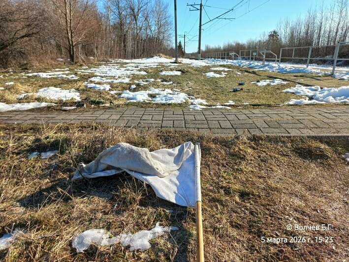 В Калининградской области проснулись клещи — переносчики риккетсиозов (фото)   - Новости Калининграда | Фото: Евгений Волчев