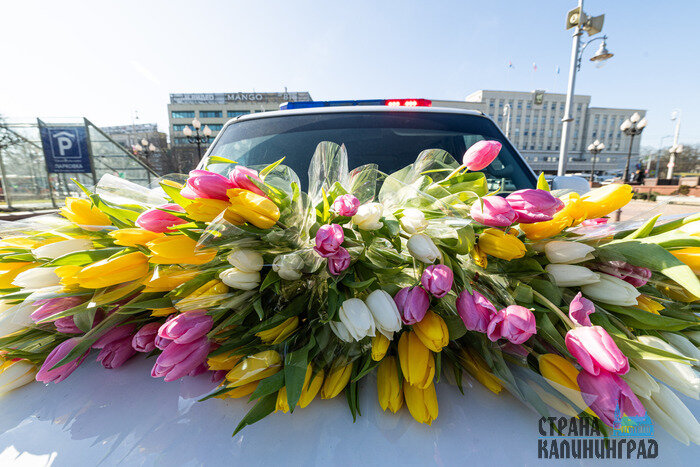 8 Марта уже с нами: город полон цветов и улыбок 
