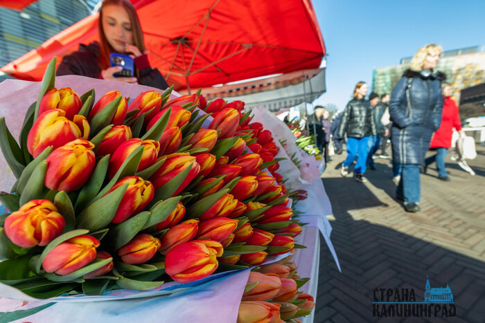 8 Марта уже с нами: город полон цветов и улыбок 