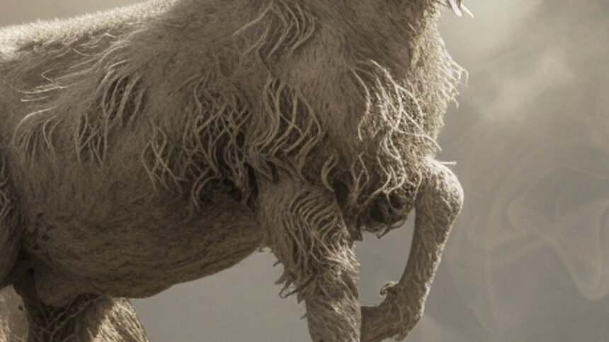 Львы захотят внимания, а Девы — наведут порядок дома: гороскоп на длинные выходные - Новости Калининграда