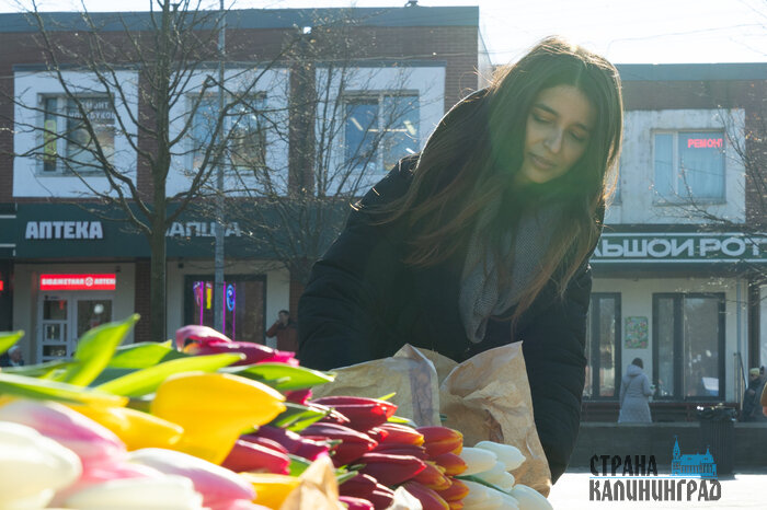 Стоимость одного тюльпана в разгар ажиотации спроса составляет 120-150 рублей. | Фото: Александр Мелехов