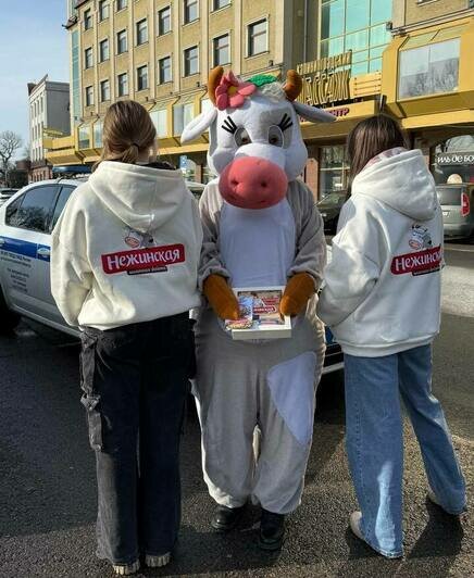 Цветы вместо штрафов: ГИБДД и ТМ «Нежинская» устроили автоледи Калининградской области весенний сюрприз - Новости Калининграда