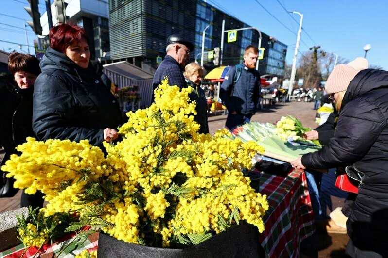 «Тюльпаны в марте бывают дороже роз»: сколько стоят цветы в Калининграде накануне праздника (фоторепортаж)   - Новости Калининграда | Фото: Александр Подгорчук / «Клопс»