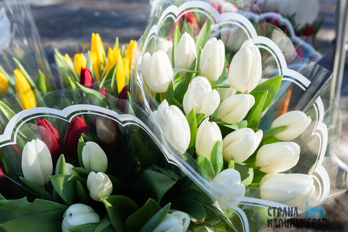 Для продления жизни цветов специалисты рекомендуют избегать резких перепадов температуры, обработать стебли перед постановкой в вазу, удалить нижние листья.  | Фото: Александр Мелехов