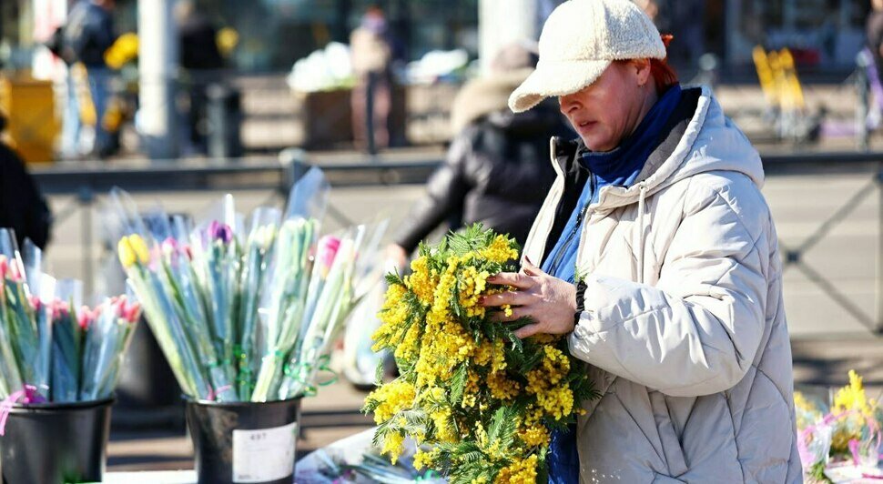 «Тюльпаны в марте бывают дороже роз»: сколько стоят цветы в Калининграде накануне праздника (фоторепортаж)   - Новости Калининграда | Фото: Александр Подгорчук / «Клопс»