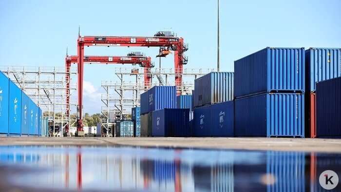 Медтуристы в Калининграде и огороды по-зеленоградски: какие cобытия обсуждали в первую рабочую неделю марта      - Новости Калининграда | Фото: Александр Подгорчук / Архив «Клопс»