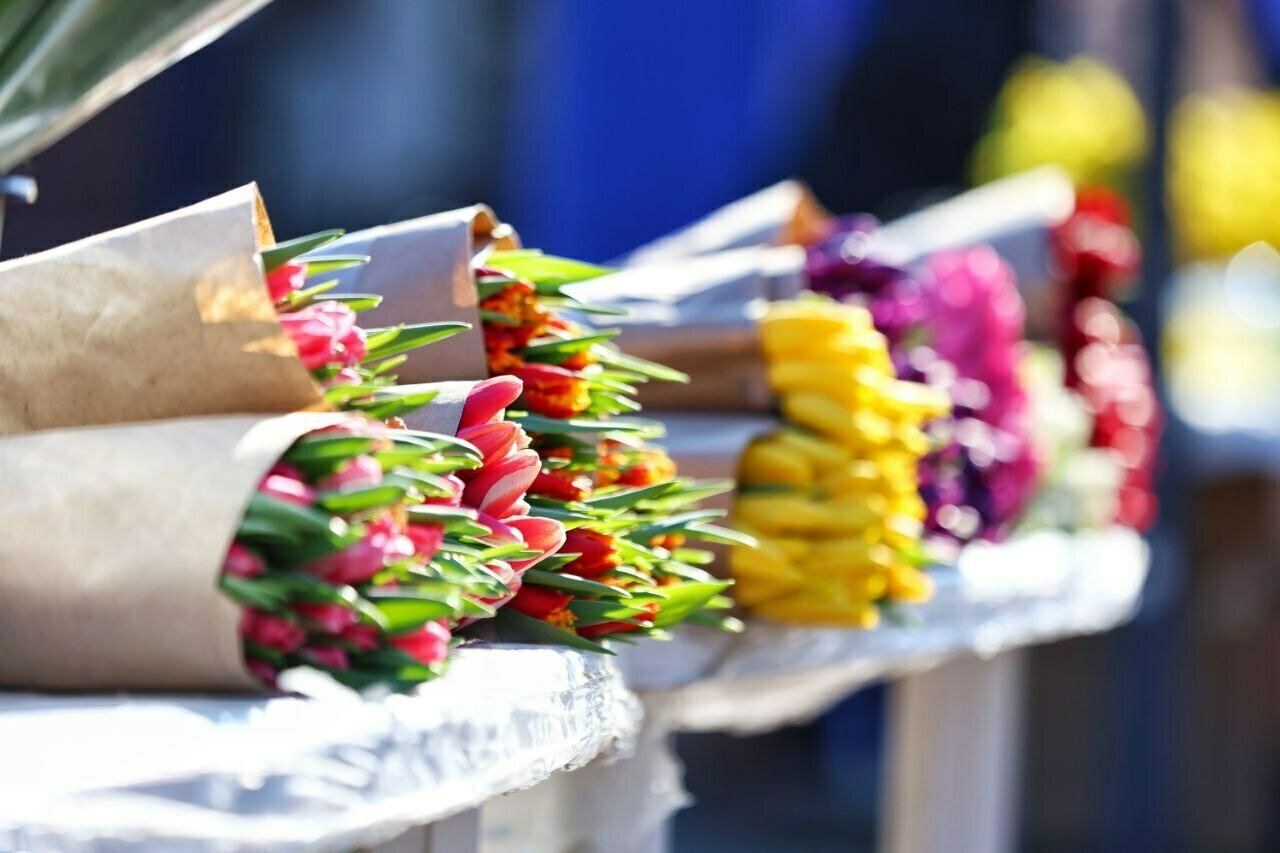 «Тюльпаны в марте бывают дороже роз»: сколько стоят цветы в Калининграде накануне праздника (фоторепортаж)   - Новости Калининграда