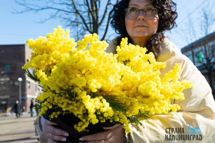 Цветы – это такой же товар, как и многие другие, а значит, на них распространяется действие закона о защите прав потребителя. | Фото: Александр Мелехов