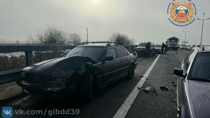 8 легковушек и грузовик: на Приморском полукольце произошло массовое ДТП (видео) - Новости Калининграда | Фото: ГАИ региона