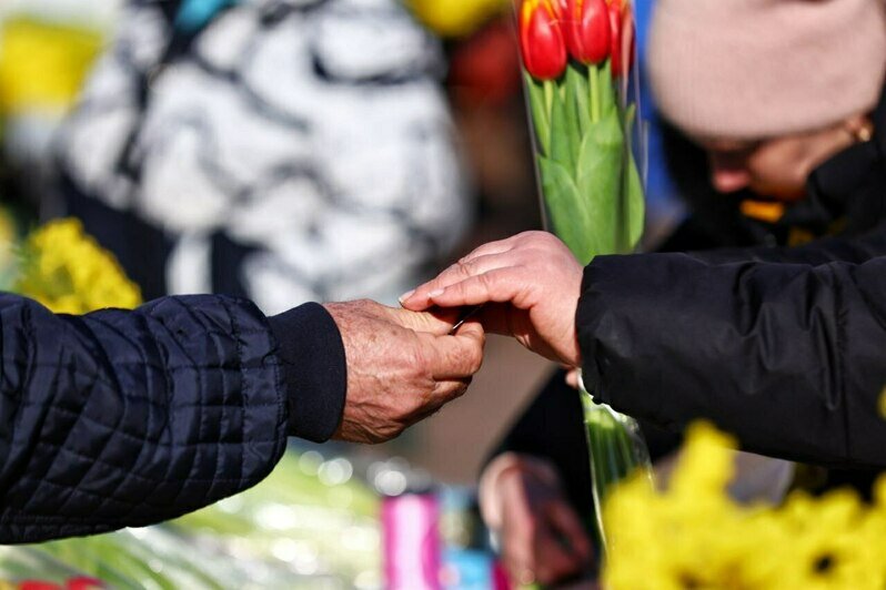 «Тюльпаны в марте бывают дороже роз»: сколько стоят цветы в Калининграде накануне праздника (фоторепортаж)   - Новости Калининграда | Фото: Александр Подгорчук / «Клопс»