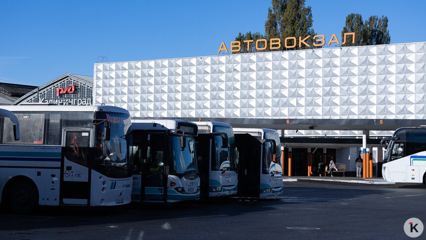 Автобусы Калининград — Варшава частично отменили - Новости Калининграда | Фото: Александр Подгорчук / Архив «Клопс»
