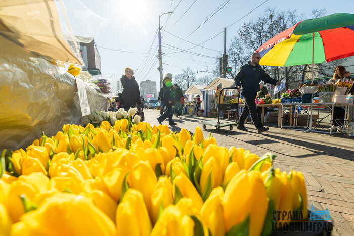 8 Марта уже с нами: город полон цветов и улыбок 