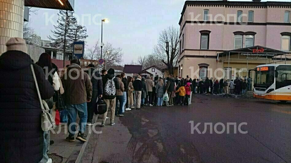 В Зеленоградске отдыхающие устроили давку у вокзала и на перроне в ожидании «Ласточки» (фото) - Новости Калининграда | Фото: очевидцы