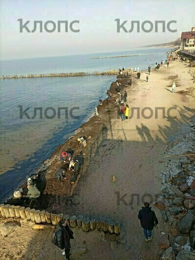 В Зеленоградске отдыхающие устроили давку у вокзала и на перроне в ожидании «Ласточки» (фото) - Новости Калининграда | Фото: очевидцы