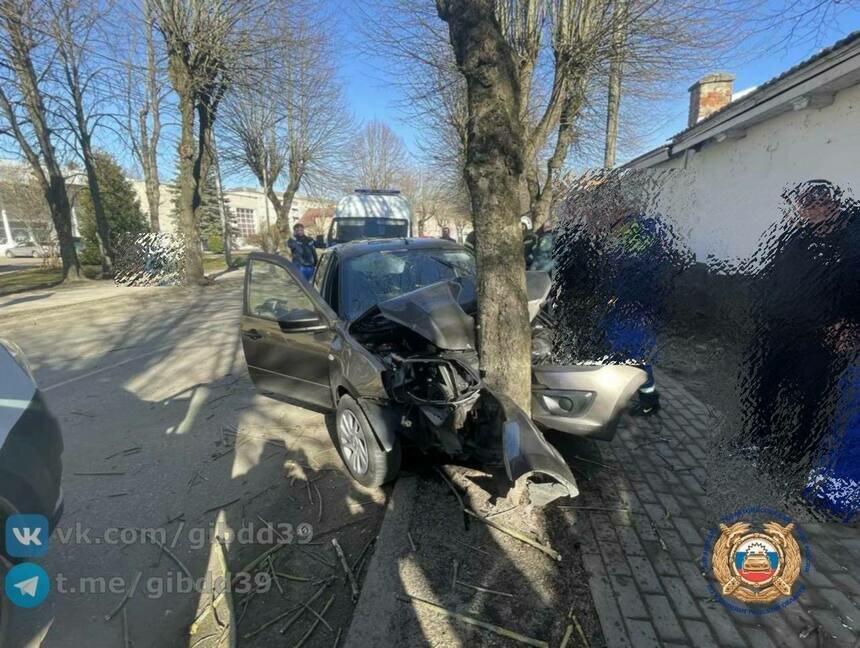 В Правдинске легковушка врезалась в дерево, погиб 73-летний водитель - Новости Калининграда | Фото: канал Госавтоинспекции Калининградской области / Телеграм