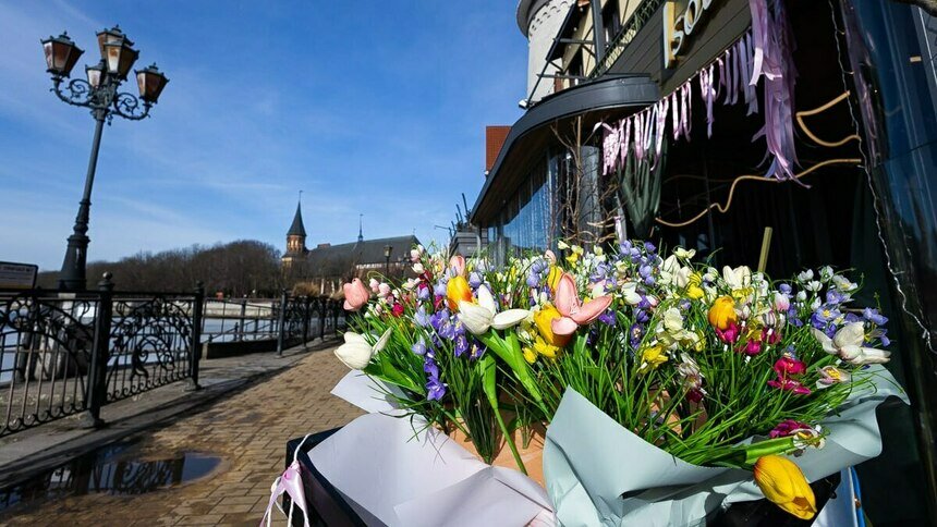 Рабочая неделя в Калининграде начнётся с небольшого гололёда - Новости Калининграда | Фото: Александр Подгорчук / «Клопс»