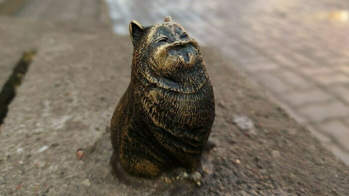 Вилла с шахматами и змея у входа: 8 мест в историческом районе Калининграда, где отыщутся потрясающие детали (фото) - Новости Калининграда | Фото: Татьяна Слобожанинова