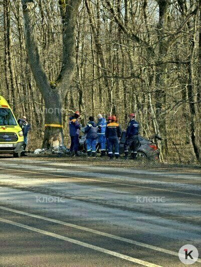 Авто всмятку: на Мамоновской трассе легковушка влетела в дерево, водитель погиб (фото, видео) - Новости Калининграда | Фото: очевидец