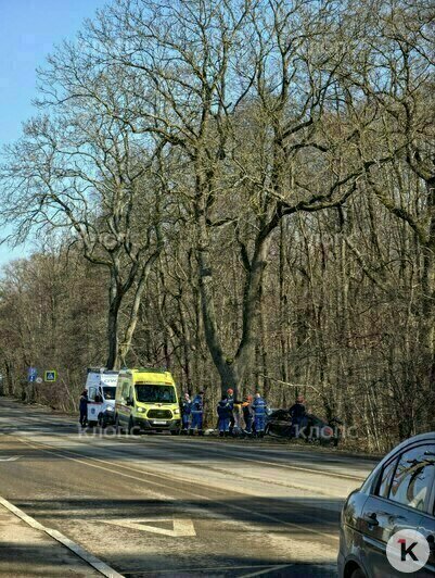 Авто всмятку: на Мамоновской трассе легковушка влетела в дерево, водитель погиб (фото, видео) - Новости Калининграда | Фото: очевидец