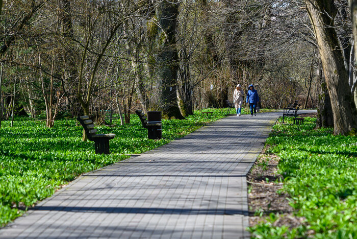 Поддержать сосуды весной помогут прогулки. Например - в Ботаническом саду | Фото: Александр Мелехов
