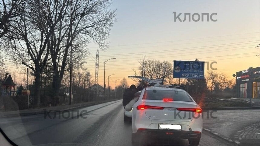 «Управлял ногами, вылазил из машины, создавал аварийную ситуацию»: в Калининград приехал водитель-акробат - Новости Калининграда | Фото очевидцев