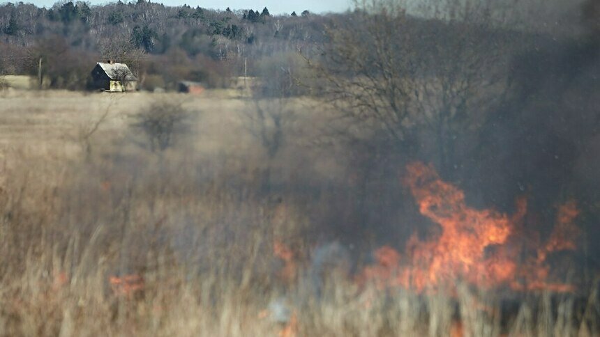 В пяти районах Калининградской области начали жечь траву, уже выгорело 20 гектаров — МЧС    - Новости Калининграда | Фото: архив «Клопс»