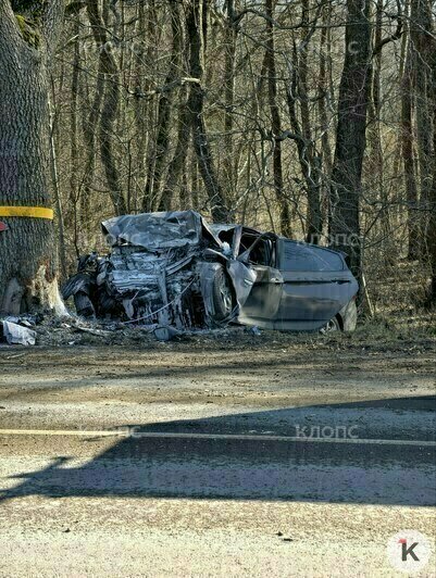 Авто всмятку: на Мамоновской трассе легковушка влетела в дерево, водитель погиб (фото, видео) - Новости Калининграда | Фото: очевидец