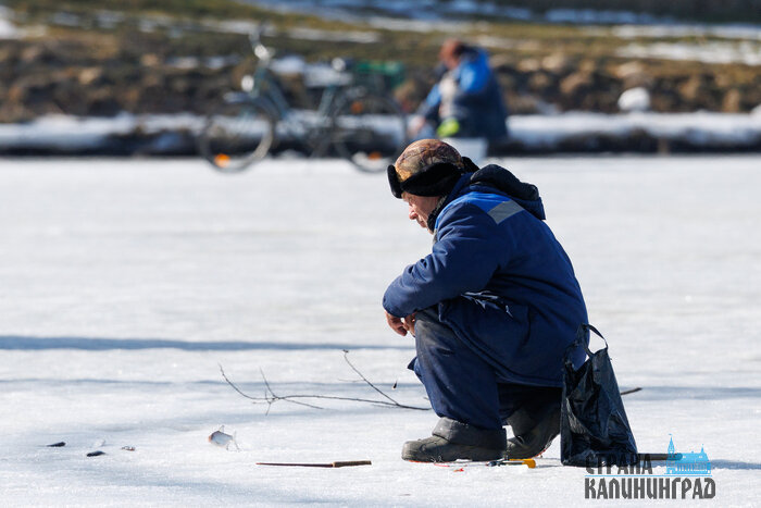 В Калининграде - весна, а за городом еще зима (фото) | Фото: Александр Мелехов