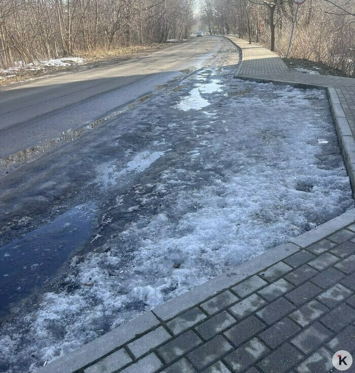 Калининградцы сообщают о толчее на остановке у школы №58, исчезающих вечером автобусах и снежной каше в зоне посадки - Новости Калининграда | Фото читателя