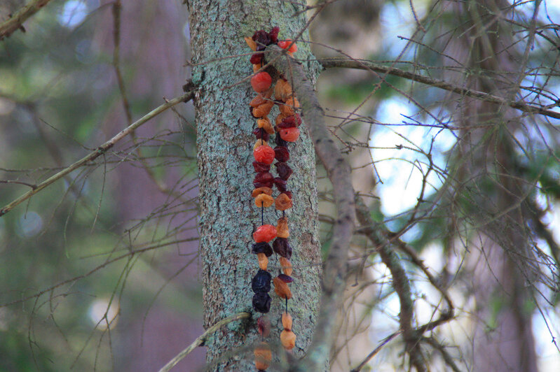 В Калининграде - весна, а за городом еще зима (фото) | Фото: Маргарита Юркова