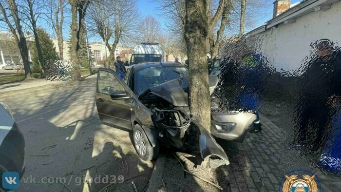 Весенний наплыв на «Ласточку» и застрявшие на льдине рыбаки: 8 событий, которые обсуждали в длинные выходные  - Новости Калининграда | Фото: канал Госавтоинспекции Калининградской области / Телеграм