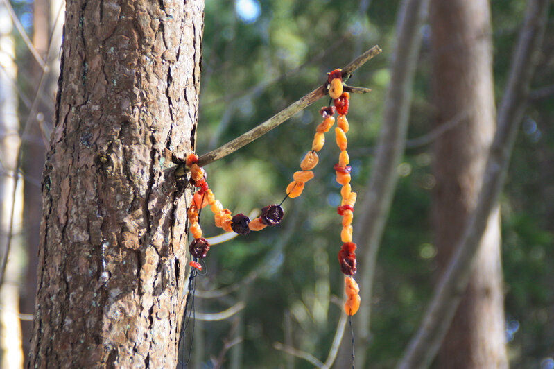 В Калининграде - весна, а за городом еще зима (фото) | Фото: Маргарита Юркова