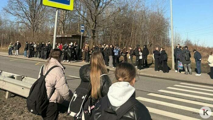 Калининградцы сообщают о толчее на остановке у школы №58, исчезающих вечером автобусах и снежной каше в зоне посадки - Новости Калининграда | Фото читателя