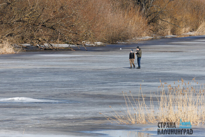 В Калининграде - весна, а за городом еще зима (фото)