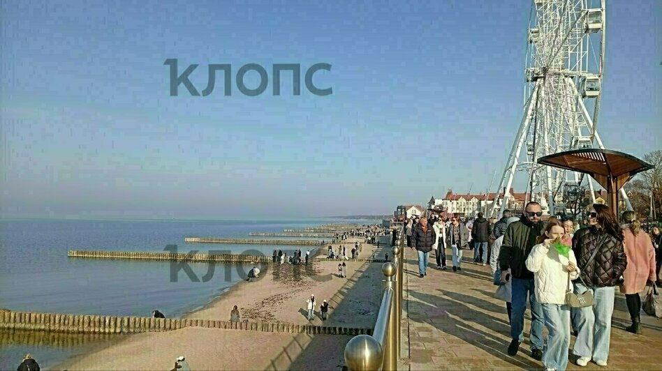 Весенний наплыв на «Ласточку» и застрявшие на льдине рыбаки: 8 событий, которые обсуждали в длинные выходные  - Новости Калининграда | Фото: очевидцы