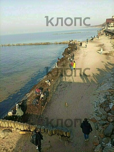 Весенний наплыв на «Ласточку» и застрявшие на льдине рыбаки: 8 событий, которые обсуждали в длинные выходные  - Новости Калининграда | Фото: очевидцы