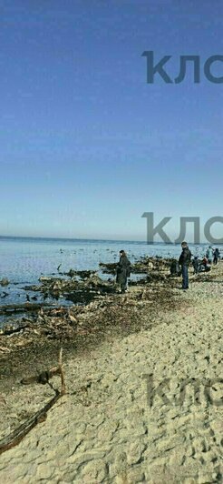 Весенний наплыв на «Ласточку» и застрявшие на льдине рыбаки: 8 событий, которые обсуждали в длинные выходные  - Новости Калининграда | Фото: очевидцы