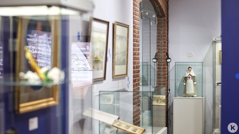 Нежные васильки, весна и образ сильной женщины: в Калининграде открылась выставка, посвящённая Королеве Луизе (фото)   - Новости Калининграда | Фото: Александр Подгорчук / «Клопс»