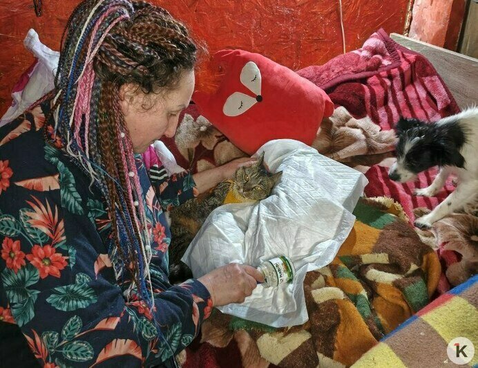 Гермиону захлопнули в подвале: калининградский приют во время морозов принимал в пять раз больше бездомных кошек (фото)   - Новости Калининграда | Фото: Анна Брылевская