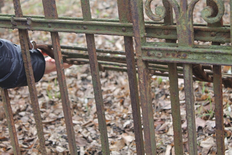 Вилла с шахматами и змея у входа: 8 мест в историческом районе Калининграда, где отыщутся потрясающие детали (фото) - Новости Калининграда | Фото: Алёна Михайлова