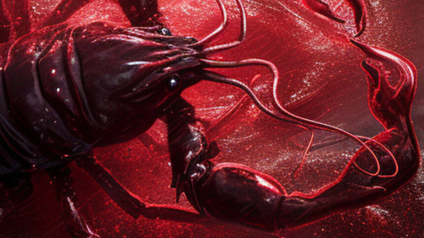 Тамара Глоба рассказала, чьи кошельки в середине марта треснут от купюр - Новости Калининграда