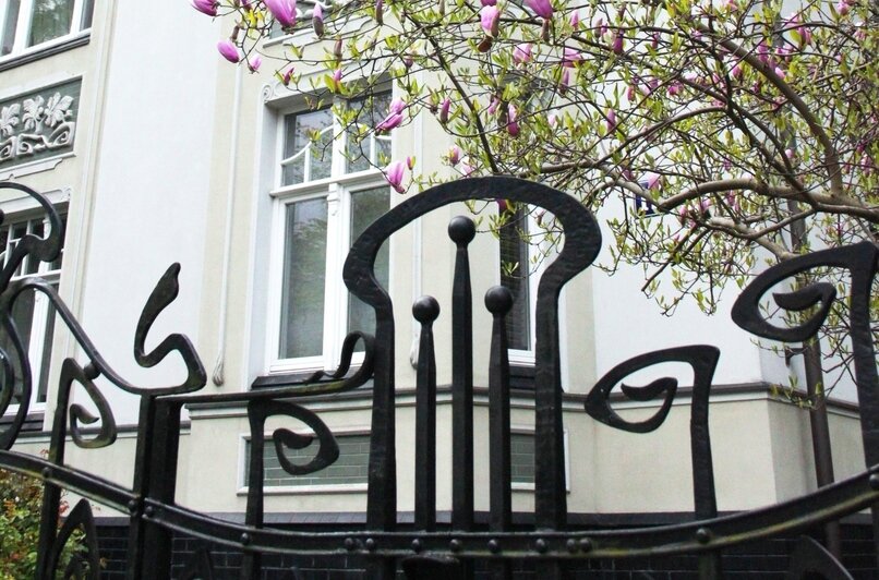 Вилла с шахматами и змея у входа: 8 мест в историческом районе Калининграда, где отыщутся потрясающие детали (фото) - Новости Калининграда | Т.Слобожанинова