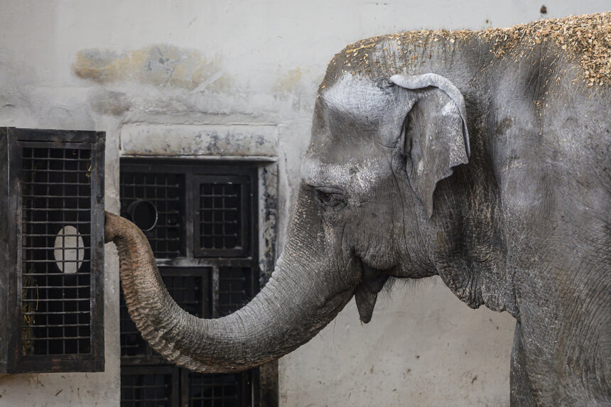 Это фото Преголи мы сделали в ноябре прошлого года | Фото: Александр Мелехов