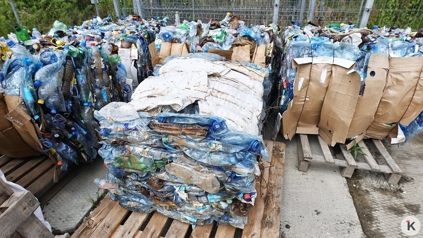 «Мерзкий исход»: эксперт назвал 3 проблемы, к которым приведёт кризис с утилизацией отходов в Калининградской области - Новости Калининграда | Фото: Александр Подгорчук / Архив «Клопс»