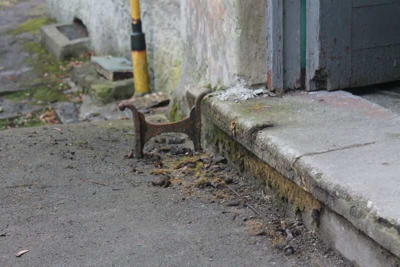 Вилла с шахматами и змея у входа: 8 мест в историческом районе Калининграда, где отыщутся потрясающие детали (фото) - Новости Калининграда | Фото: Алёна Михайлова