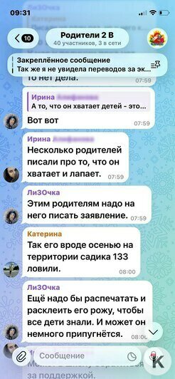 Трясунчик-террор: в Калининграде пожилой мужчина пристаёт к детям и обнажается перед девушками (фото)  - Новости Калининграда | Скриншоты переписки: Ирина