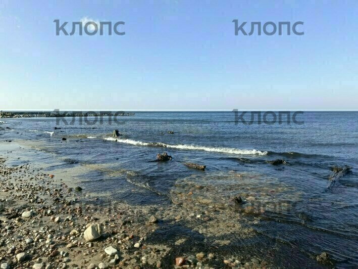 «На водоросли точно не похоже»: в Зеленоградске загадочная чёрная жижа на побережье перепугала отдыхающих (фото, видео) - Новости Калининграда | Фото: очевидцы
